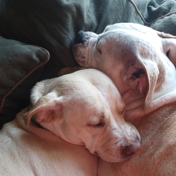 Meet your Posher, Mary - Picture 4 of 16